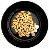 Pistachio Nuts